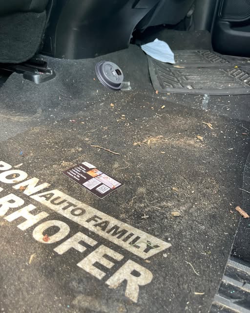 Heavily soiled floor mat before detailing